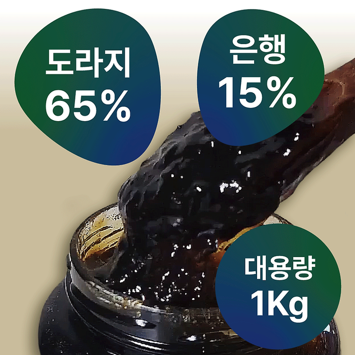 약초인 은행 도라지청 1kg